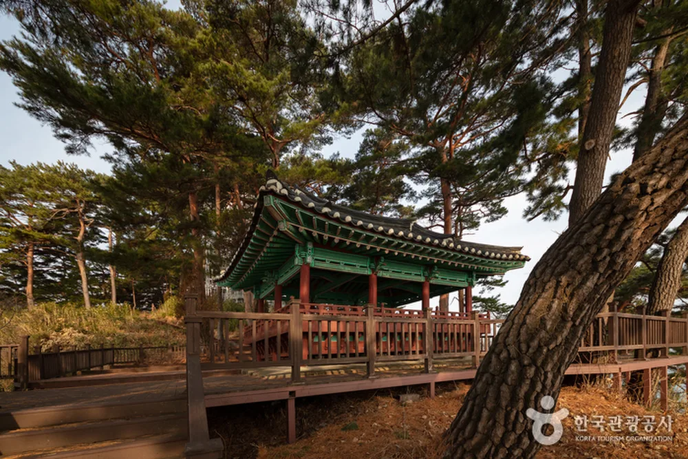 죽도정·죽도 전망대