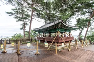 죽도정·죽도 전망대