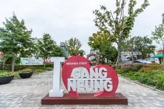 강릉 월화거리