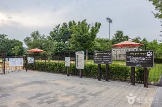 인천대공원 반려동물 놀이터