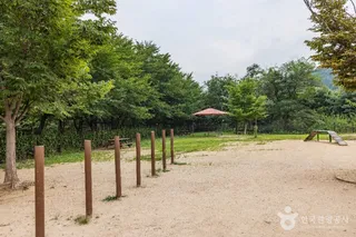 인천대공원 반려동물 놀이터