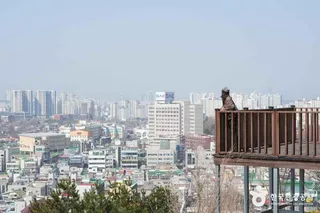 대동하늘공원