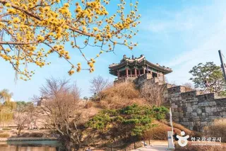 방화수류정(동북각루)