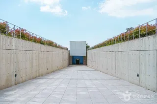 예술의 섬 장도