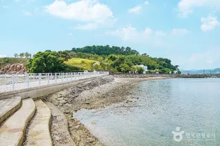 예술의 섬 장도