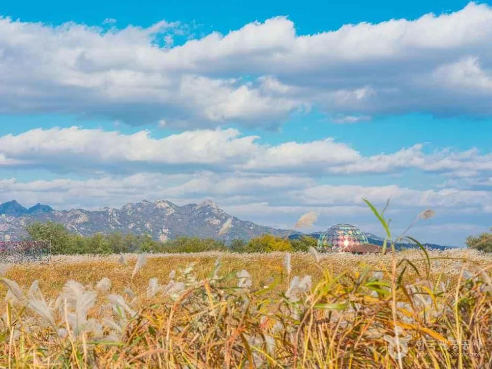 하늘공원