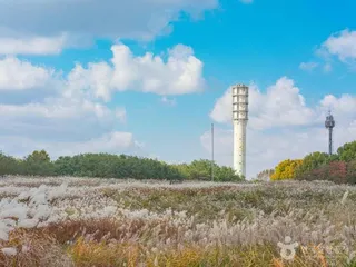 하늘공원