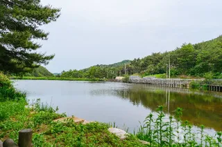 북구 편백산림욕장