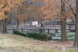 용인 구갈레스피아