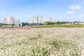나리농원