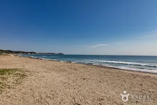 정암해수욕장