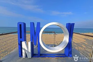 강릉 안목해맞이공원