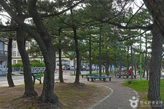 강릉 안목해맞이공원