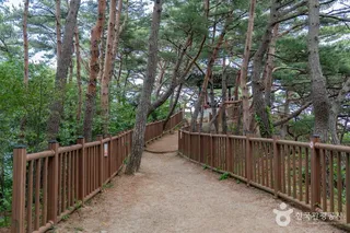 하조대