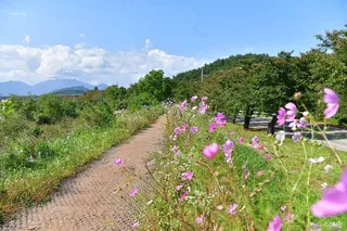 쌍천길