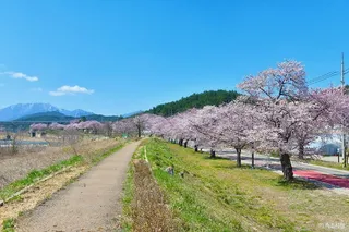 쌍천길