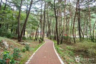 서천 치유의 숲