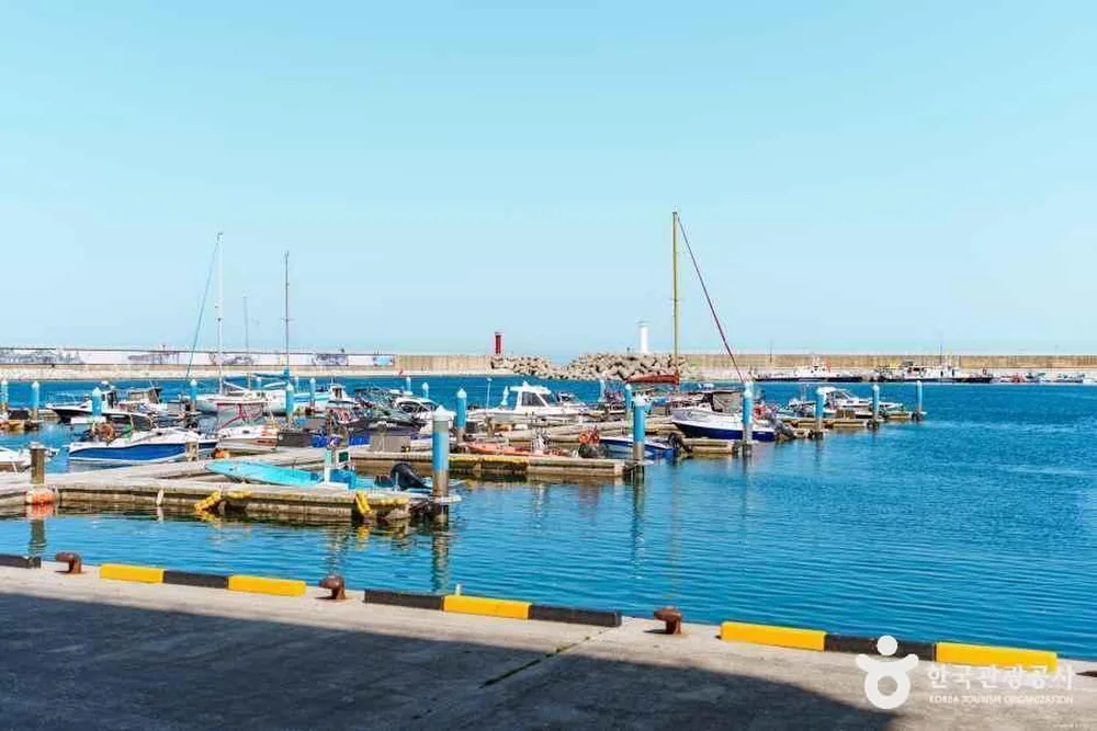 강릉항
