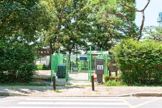 일산호수공원 반려견놀이터