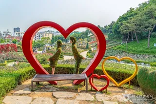 백만송이장미원