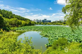 조례호수공원