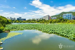 조례호수공원