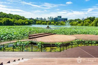 조례호수공원