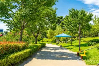 조례호수공원
