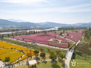 신소양체육공원
