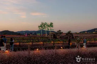 고석정 꽃밭