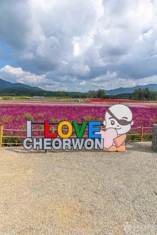 고석정 꽃밭