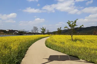 경천섬(경천섬공원)