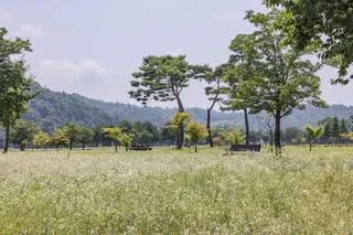 경천섬(경천섬공원)