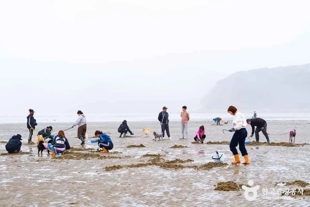 병술만어촌체험마을