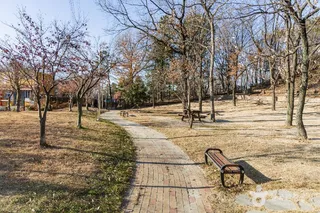 포항댕댕동산