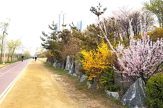 달빛축제공원