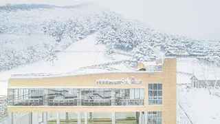 순수 양떼목장