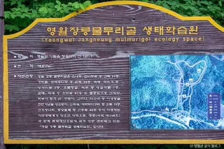 물무리골생태습지