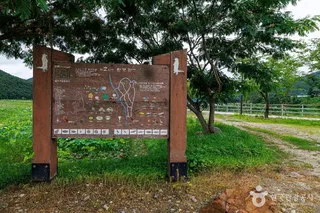 서오지리 연꽃단지