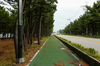 순포해변