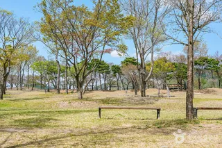 신라왕경숲