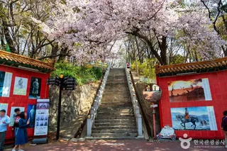 삼국지 벽화거리