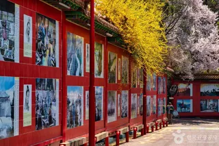 삼국지 벽화거리