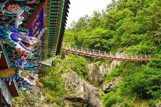 구절산