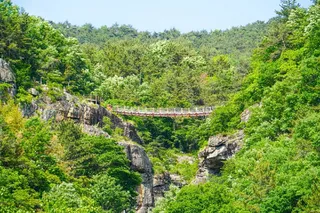 구절산