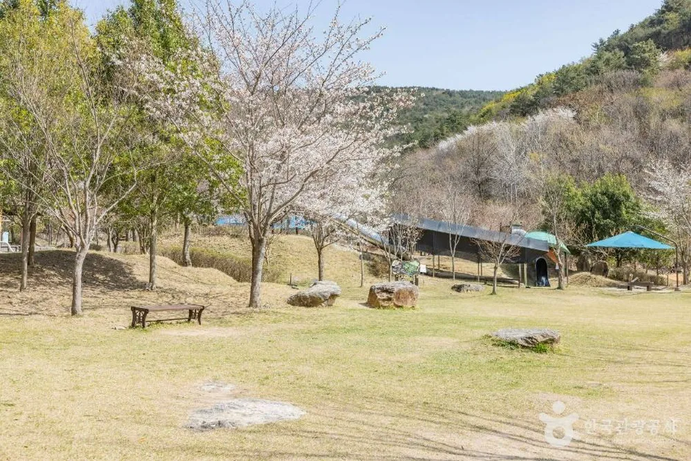 기적의놀이터 4호 올라올라