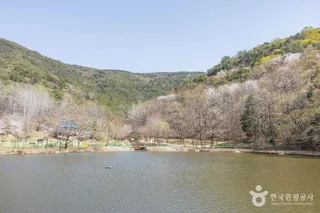 기적의놀이터 4호 올라올라