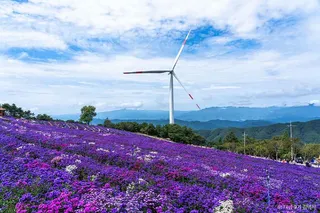 거창 별바람언덕