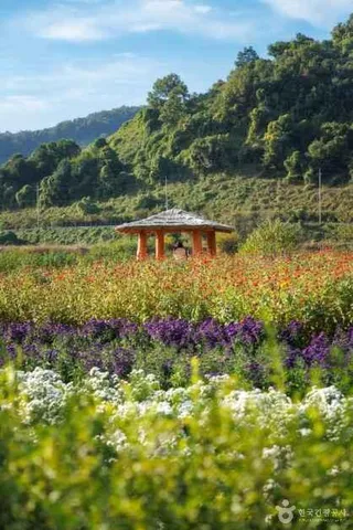 임진강 댑싸리정원