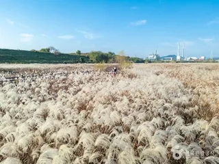 대명유수지